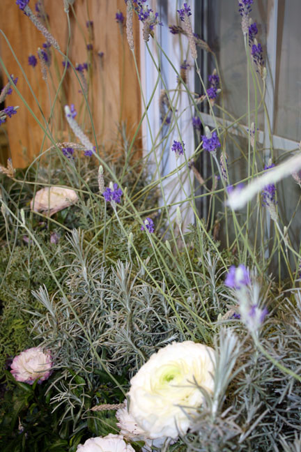 detail lavender box