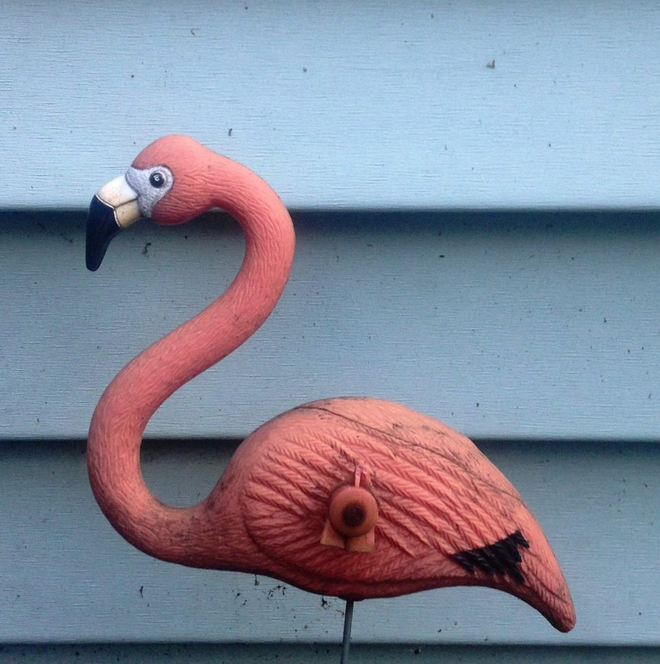 A yard flamingo left by the previous owners, kitschy but cute.